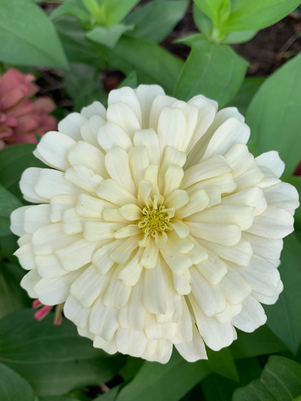 Love, The Lesson Continues…