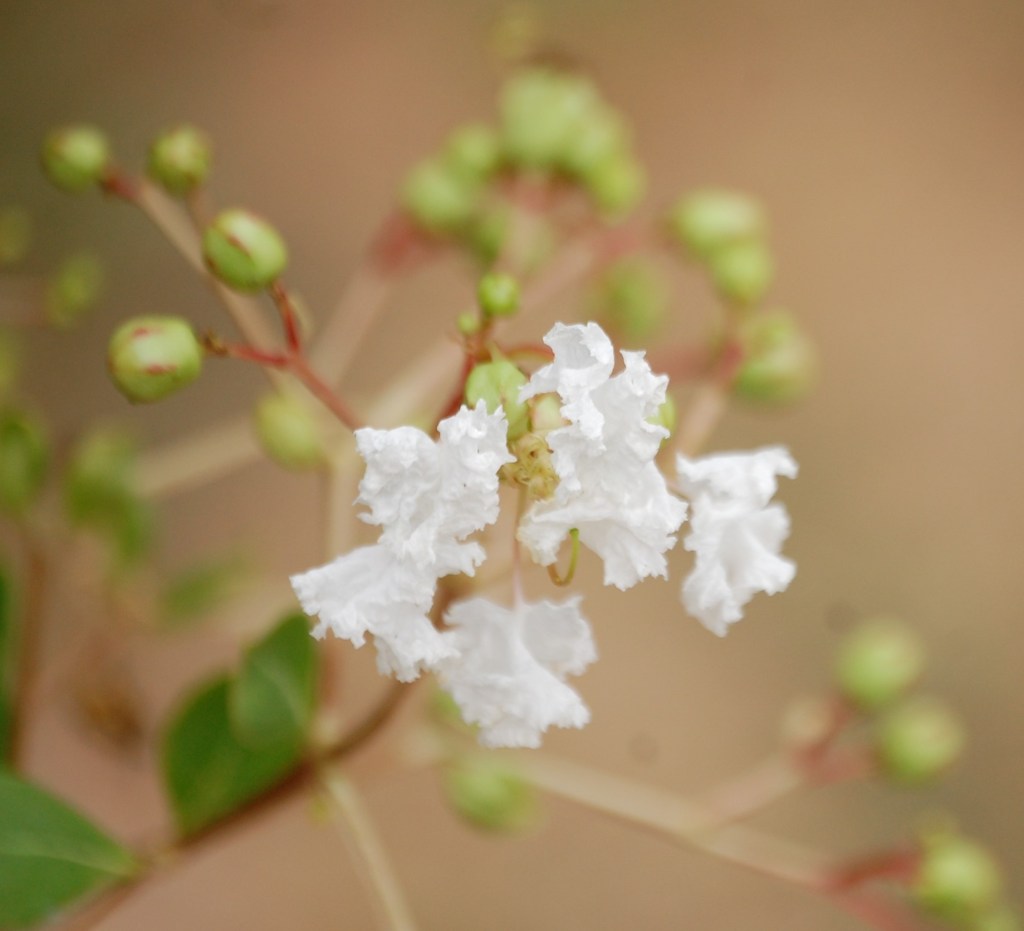 Guard our Hearts and&nbsp;Minds