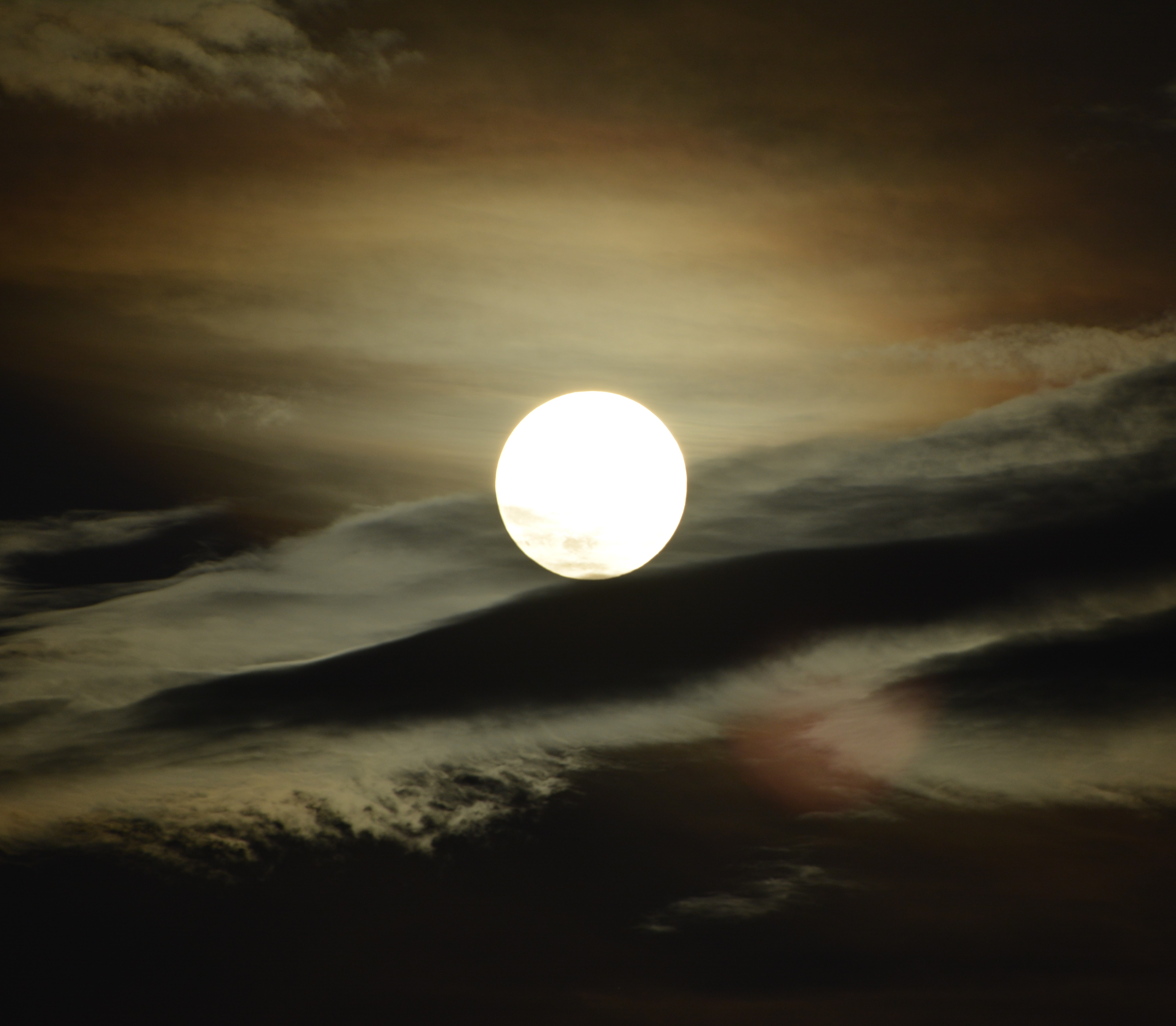 On Death and Introspection